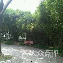 临沂公园爆料视频,揭秘公园里的惊人秘密 第3张 临沂公园爆料视频,揭秘公园里的惊人秘密 第3张